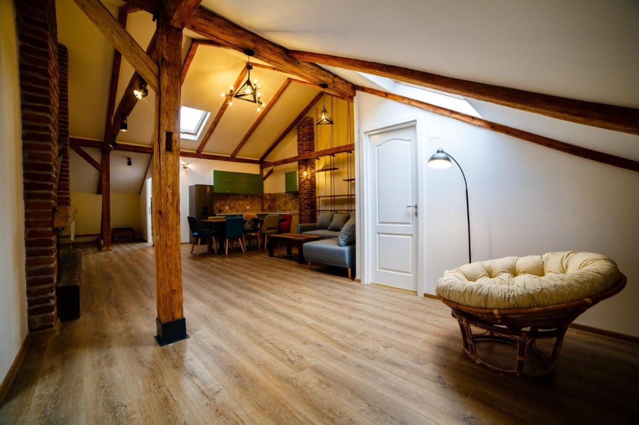 Câmpulung MoldovenescAlpine Loftアパートメント エクステリア 写真