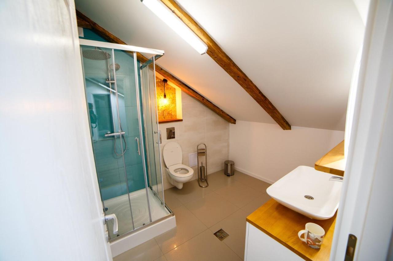 Câmpulung MoldovenescAlpine Loftアパートメント エクステリア 写真