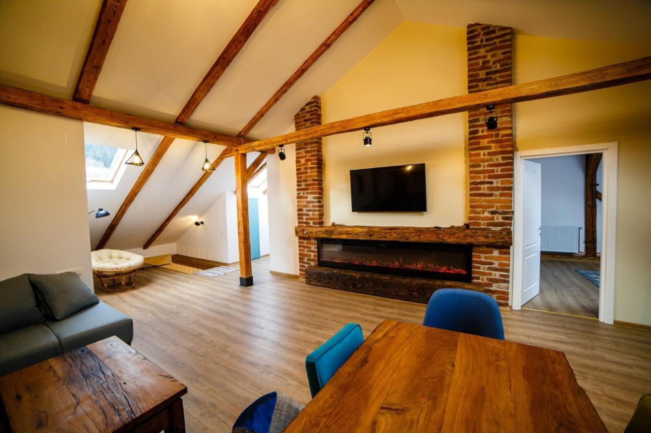 Câmpulung MoldovenescAlpine Loftアパートメント エクステリア 写真