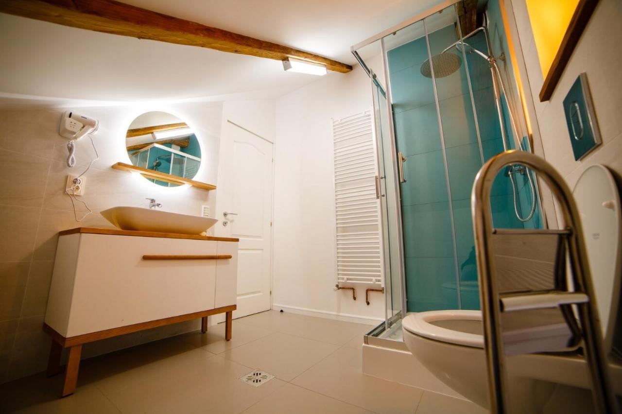 Câmpulung MoldovenescAlpine Loftアパートメント エクステリア 写真