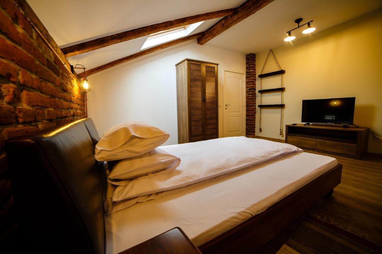 Câmpulung MoldovenescAlpine Loftアパートメント エクステリア 写真