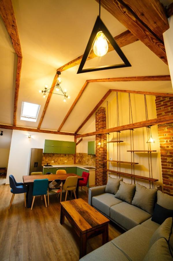 Câmpulung MoldovenescAlpine Loftアパートメント エクステリア 写真