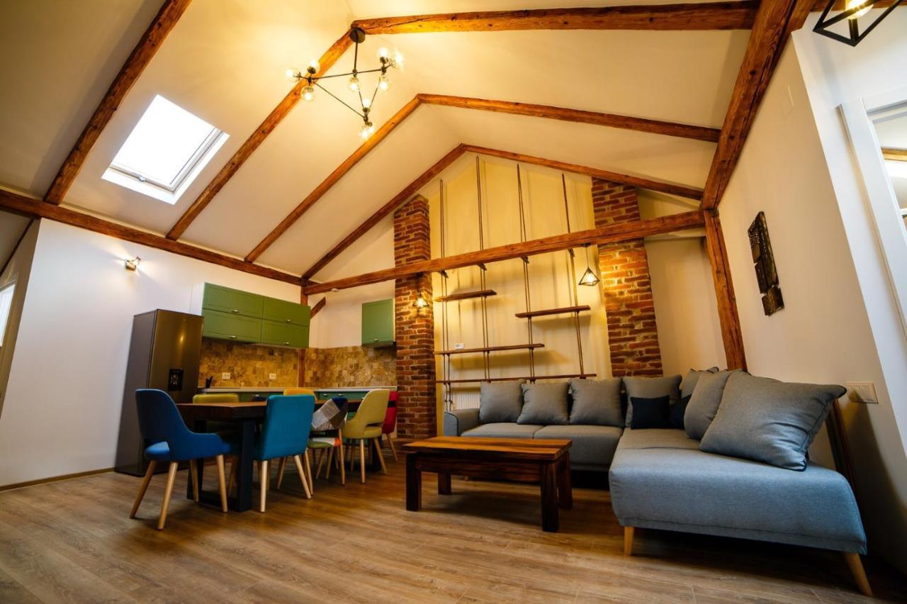 Câmpulung MoldovenescAlpine Loftアパートメント エクステリア 写真