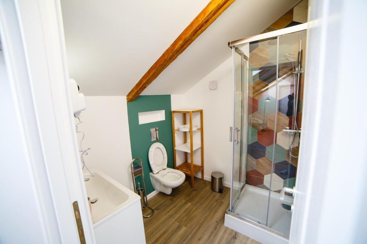 Câmpulung MoldovenescAlpine Loftアパートメント エクステリア 写真