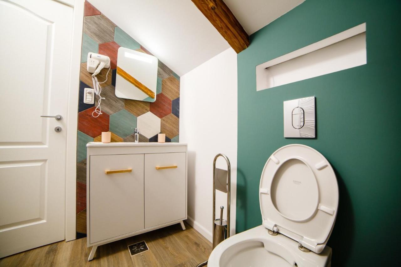 Câmpulung MoldovenescAlpine Loftアパートメント エクステリア 写真